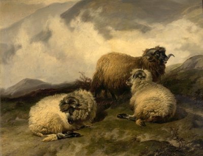 Moutons de montagne (Brume matinale se dissipant), 1846 - Thomas Sidney Cooper